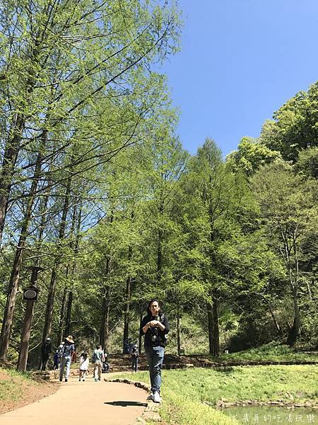 IMG_9178.JPG IMG_9178.JPG