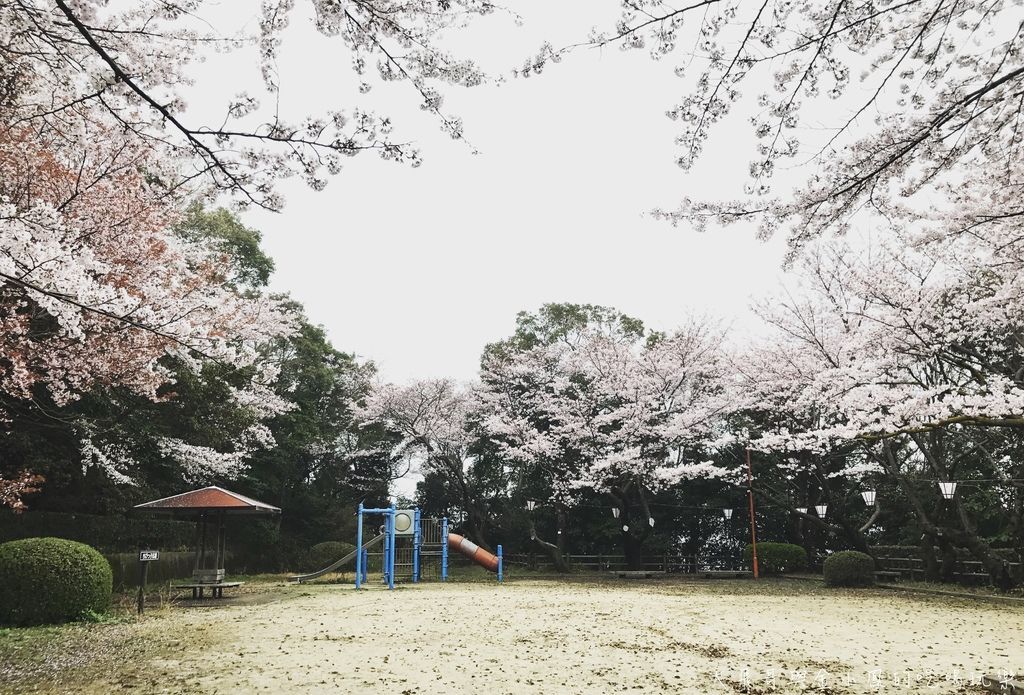 山口縣賞櫻名所 防府天滿宮與桑山公園 大飛哥 金小鳳的吃喝玩樂 痞客邦 山口縣賞櫻名所 防府天滿宮與桑山公園 大飛哥 金小鳳的吃喝玩樂 痞客邦