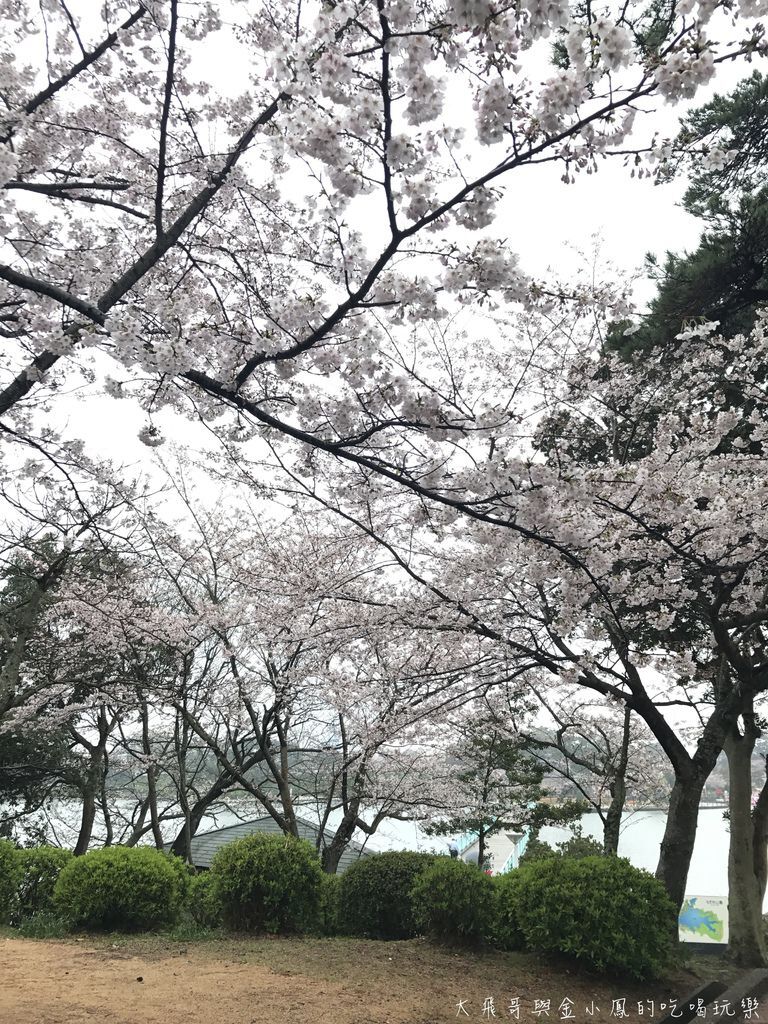 山口縣賞櫻名所 防府天滿宮與桑山公園 大飛哥 金小鳳的吃喝玩樂 痞客邦