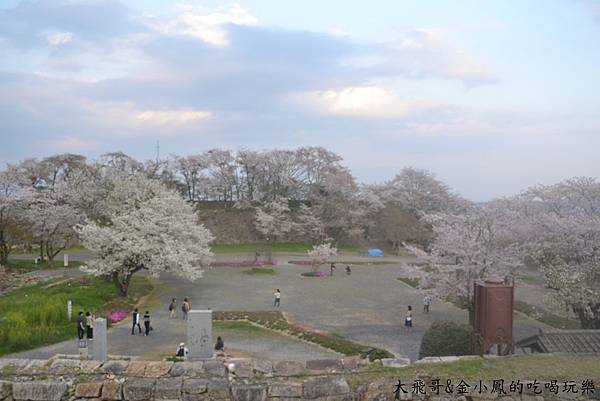 賞櫻景點100選 必去百大名城 津山城跡 鶴山公園 大飛哥 金小鳳的吃喝玩樂 痞客邦