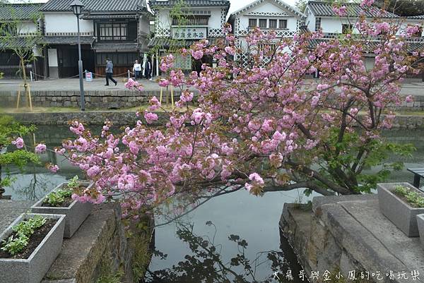 DSC_9421.JPG DSC_9421.JPG