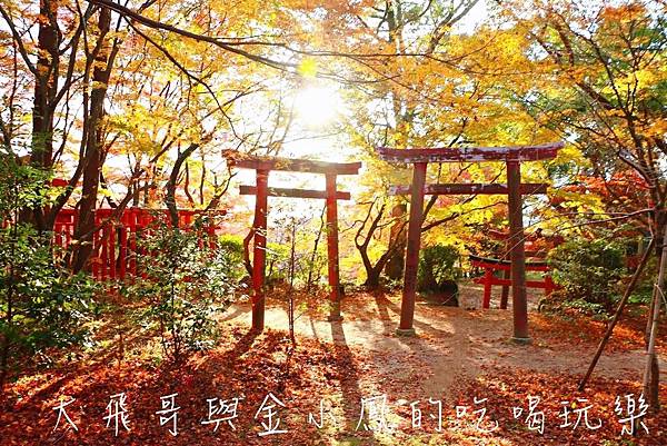 20190819_190907_0009.jpg 20190819_190907_0009.jpg