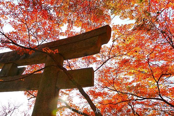 20190819_190907_0041.jpg 20190819_190907_0041.jpg