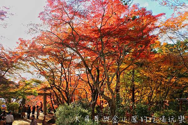 20190819_190907_0031.jpg 20190819_190907_0031.jpg