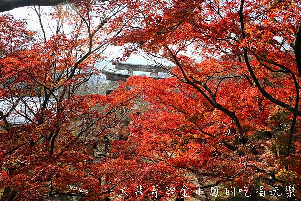 20190819_190907_0043.jpg 20190819_190907_0043.jpg