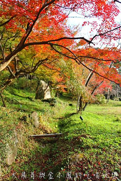 20190819_190907_0045.jpg 20190819_190907_0045.jpg