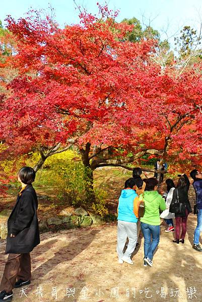 20190819_190907_0046.jpg 20190819_190907_0046.jpg