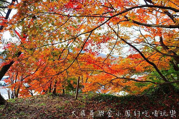 20190819_190907_0056.jpg 20190819_190907_0056.jpg