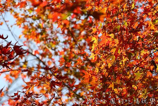 20190819_190907_0052.jpg 20190819_190907_0052.jpg