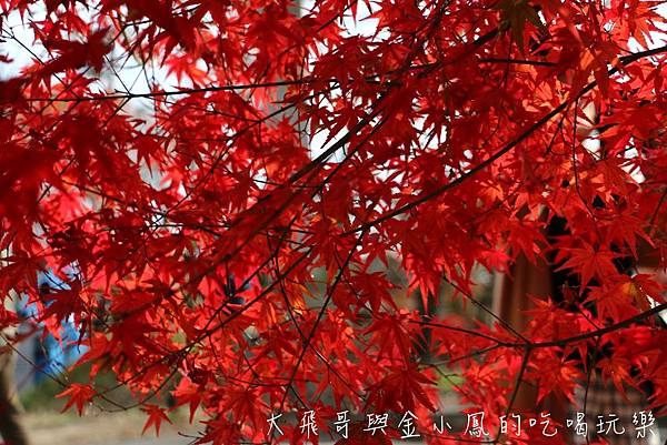 20190819_190907_0047.jpg 20190819_190907_0047.jpg