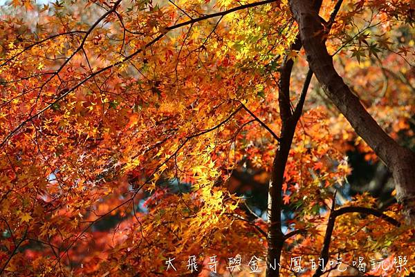 20190819_190907_0036.jpg 20190819_190907_0036.jpg