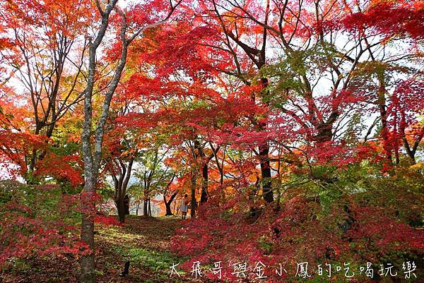 20190819_190907_0053.jpg 20190819_190907_0053.jpg