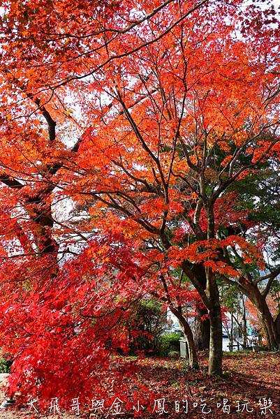 20190819_190907_0051.jpg 20190819_190907_0051.jpg