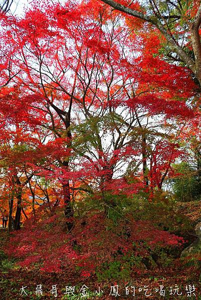 20190819_190907_0055.jpg 20190819_190907_0055.jpg