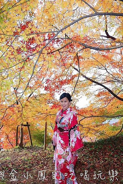 20190819_190907_0012.jpg 20190819_190907_0012.jpg