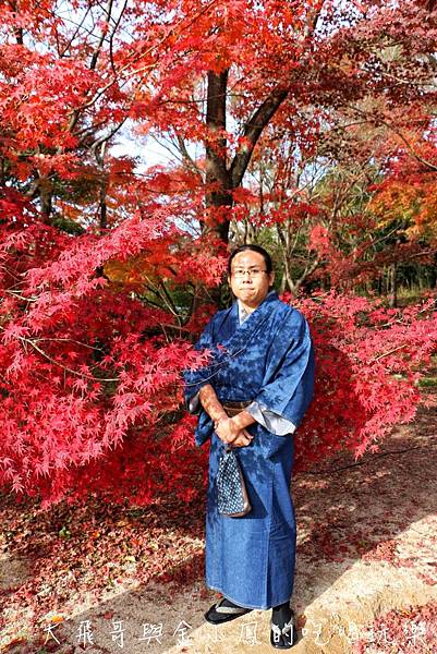 20190819_190907_0058.jpg 20190819_190907_0058.jpg