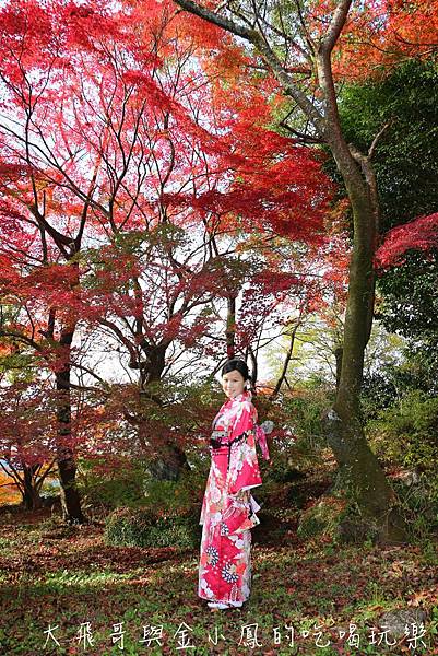 20190819_190907_0054.jpg 20190819_190907_0054.jpg