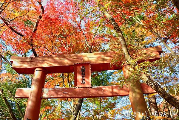 20190819_190907_0037.jpg 20190819_190907_0037.jpg