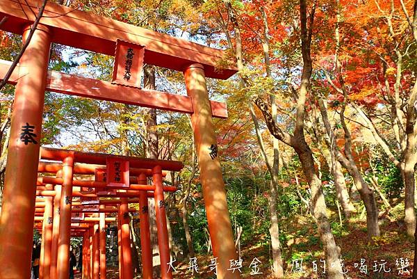 20190819_190907_0038.jpg 20190819_190907_0038.jpg