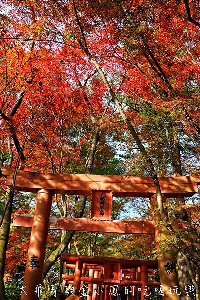 20190819_190907_0042.jpg 20190819_190907_0042.jpg