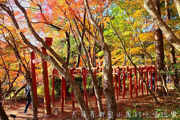 20190819_190907_0034.jpg 20190819_190907_0034.jpg