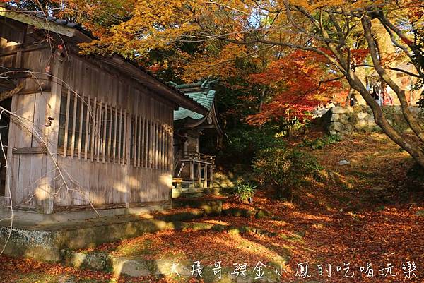 20190819_190907_0022.jpg 20190819_190907_0022.jpg