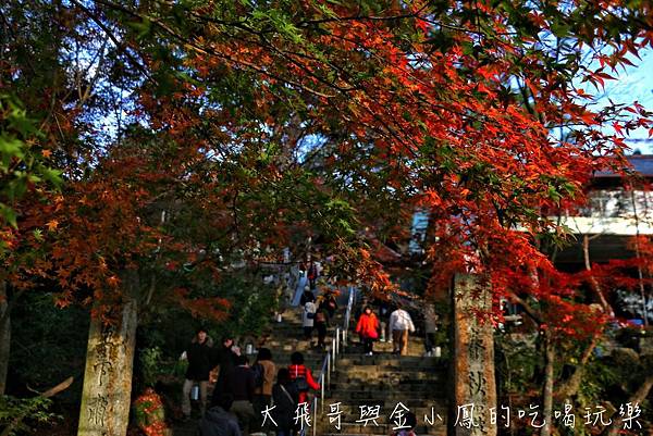 20190819_190907_0029.jpg 20190819_190907_0029.jpg