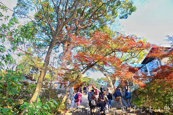 20190819_190907_0028.jpg 20190819_190907_0028.jpg