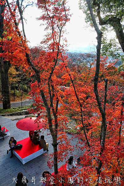 20190819_190907_0025.jpg 20190819_190907_0025.jpg