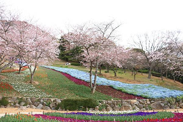 IMG_9623.JPG IMG_9623.JPG