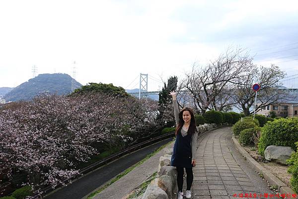 IMG_9615.JPG IMG_9615.JPG