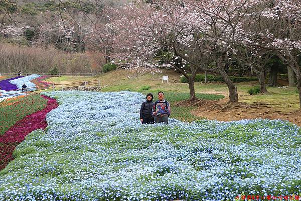 IMG_9630.JPG IMG_9630.JPG