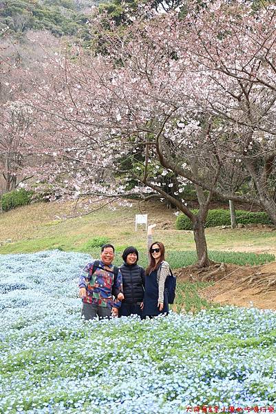 IMG_9633.JPG IMG_9633.JPG