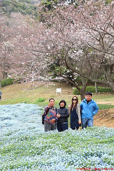 IMG_9634.JPG IMG_9634.JPG