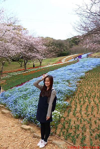 IMG_9636.JPG IMG_9636.JPG