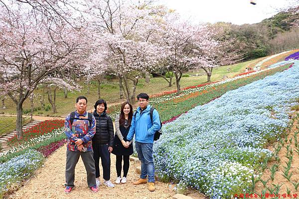 IMG_9643.JPG IMG_9643.JPG