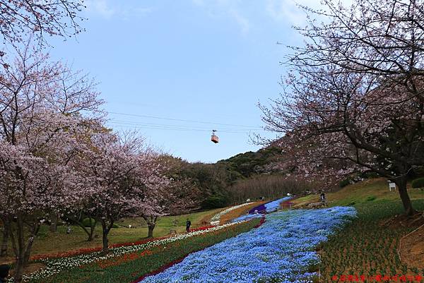 IMG_9646.JPG IMG_9646.JPG