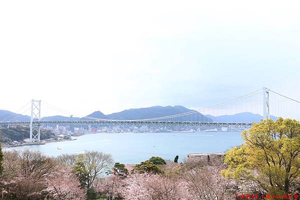 IMG_9685.JPG IMG_9685.JPG