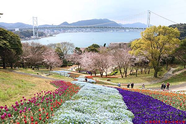 IMG_9686.JPG IMG_9686.JPG