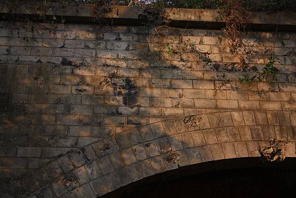 崎頂子母隧道 (11).JPG