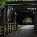 崎頂子母隧道 (18).JPG