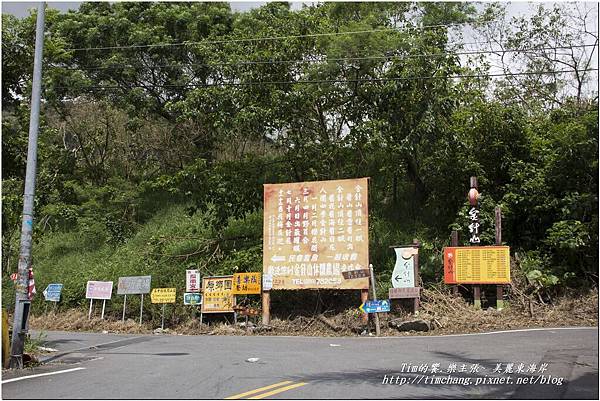 太麻里金針山 (6)