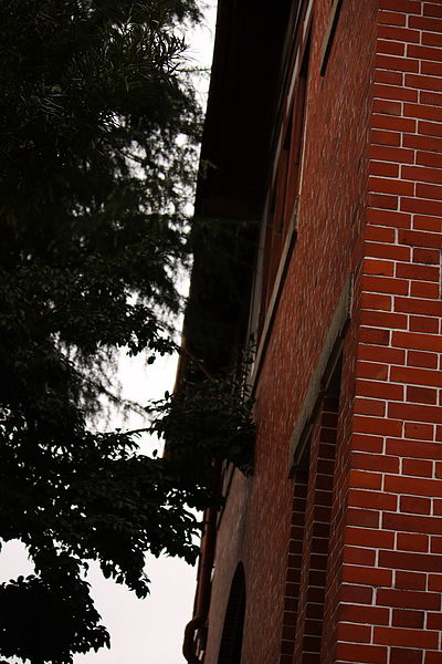 IMG_1558.JPG IMG_1558.JPG