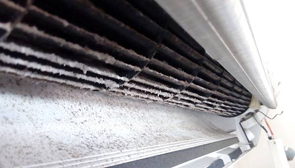 IMAG2370.jpg IMAG2370.jpg