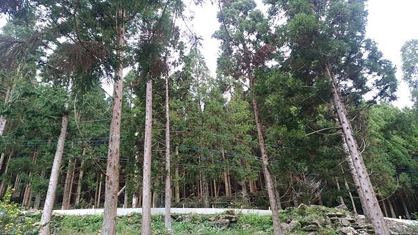 P_20190112_132357.jpg P_20190112_132357.jpg