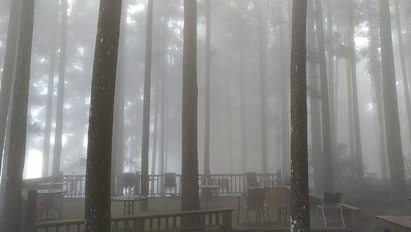 P_20190113_122429.jpg P_20190113_122429.jpg