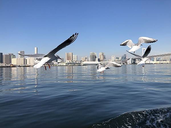 IMG_2106_compressed.jpg IMG_2106_compressed.jpg