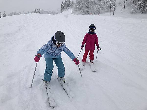 IMG_2201_compressed.jpg IMG_2201_compressed.jpg