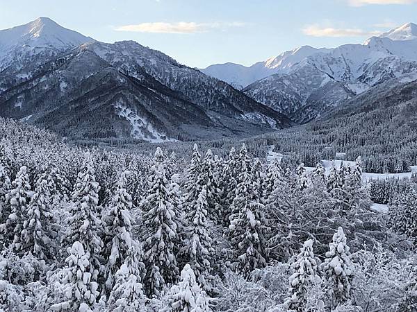 IMG_2278_compressed.jpg IMG_2278_compressed.jpg