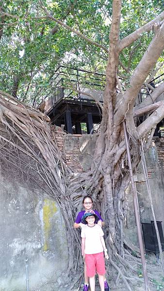 P_20190209_125145.jpg P_20190209_125145.jpg